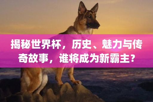揭秘世界杯，历史、魅力与传奇故事，谁将成为新霸主？