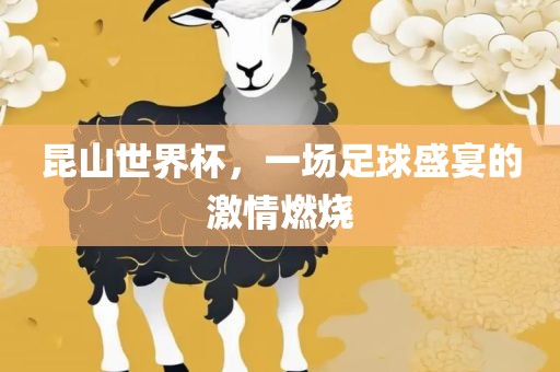 昆山世界杯，一场足球盛宴的激情燃漯河市盈旭机械设备有限公司烧