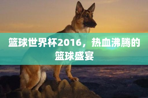篮球世界杯2016，热血沸腾的篮球盛宴漯河市盈旭机械设备有限公司