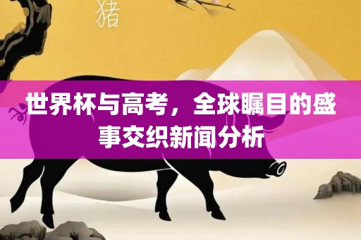 世界杯与高考，全球瞩目的盛事交织新闻分析