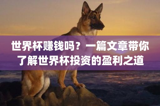 世界杯赚钱吗？一篇文章带你了解世界杯投资的盈利之道