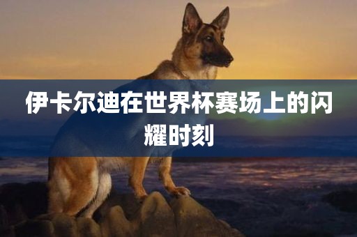 伊卡尔迪在世界杯赛场上的闪耀时刻