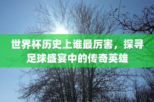 世界杯历史上谁最厉害，探寻足球盛宴中的传奇英雄漯河市盈旭机械设备有限公司