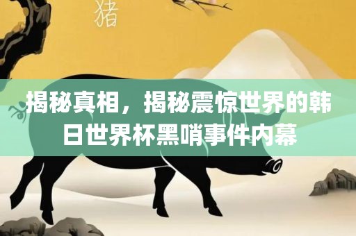 揭秘真相，揭秘震惊世界的韩日世界杯黑哨事件内幕