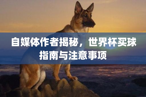 自媒体作者揭秘，世界杯买球指南与注意事项