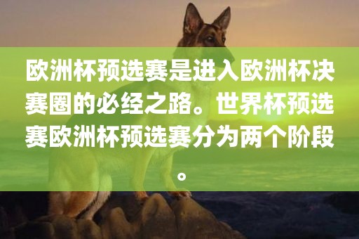 欧洲杯预选赛是进入欧洲杯决赛圈的必经之路。世界杯预选赛欧洲杯预选赛分为两个阶段。漯河市盈旭机械设备有限公司