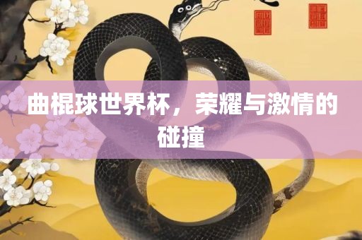 曲棍球世界杯，荣耀与激情的碰撞漯河市盈旭机械设备有限公司