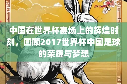 中国在世界杯赛场上的辉煌时刻，回顾2017世界杯中国足球的荣耀与梦想漯河市盈旭机械设备有限公司