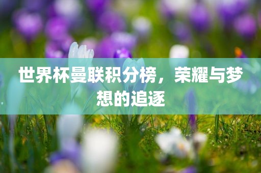 世界杯曼联积分榜漯河市盈旭机械设备有限公司，荣耀与梦想的追逐