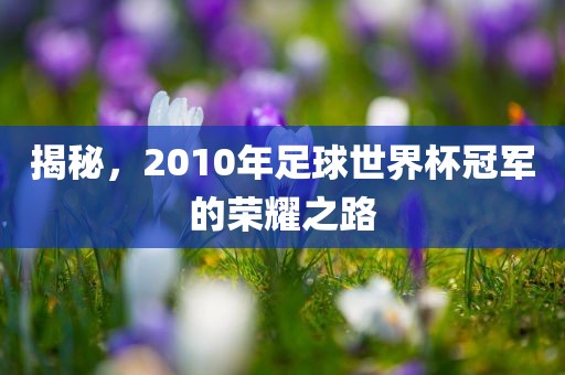 揭秘，2010年足球世界杯冠军的荣耀之路