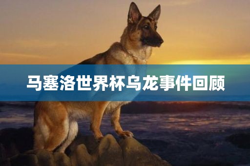 马塞洛世界杯乌龙事件回顾