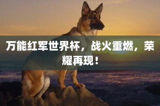 万能红军世界杯，战火重燃，荣耀再现！