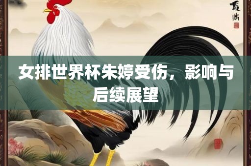 女排世界杯朱婷受伤，影响与后续展望漯河市盈旭机械设备有限公司