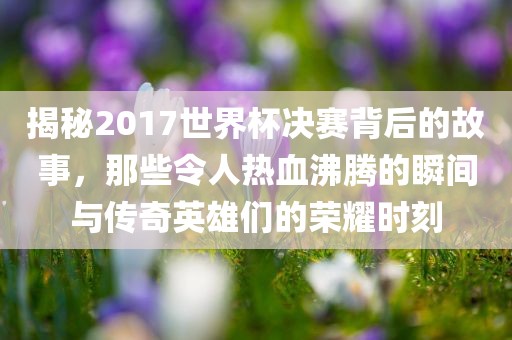 揭秘2017世界杯决赛背后的故事，那些令人热血沸腾的瞬间与传奇英雄们的荣耀时刻