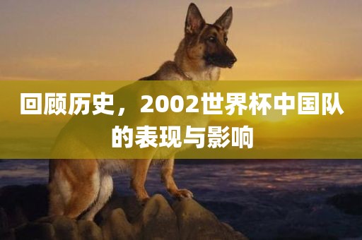 zhenzhi 第7页