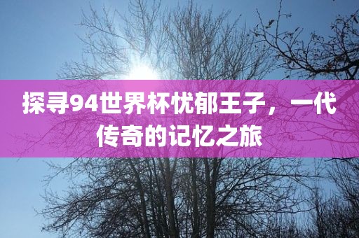 探寻94世界杯忧郁王子，一代传奇的记忆之旅漯河市盈旭机械设备有限公司