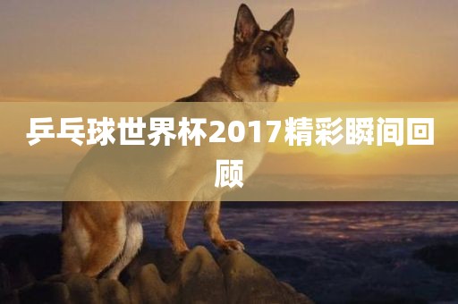 乒乓球世界杯2017精彩瞬间回顾