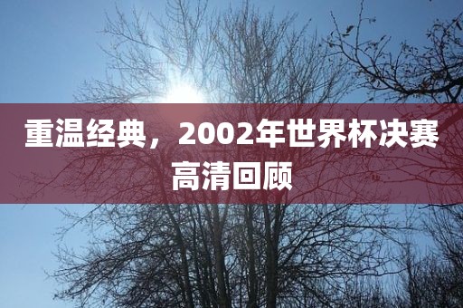 重温经典，2002年世界杯决赛高清回顾