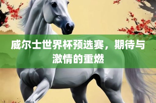 威尔士世界杯预选赛，期待与激情的重燃