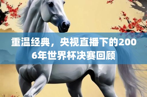 重温经典，央视直播下的2006年世界杯决赛回顾