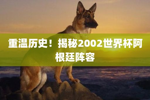 重温历史！揭秘2002世界杯阿根廷阵容漯河市盈旭机械设备有限公司