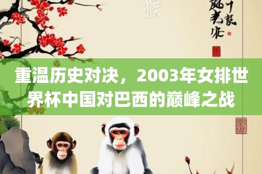 重温历史对决，2003年女排世界杯中国对巴西的巅峰之战