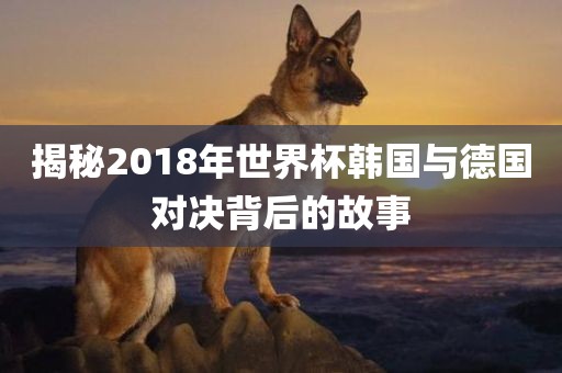 揭秘2018年世界杯韩国与德国对决背后的故事