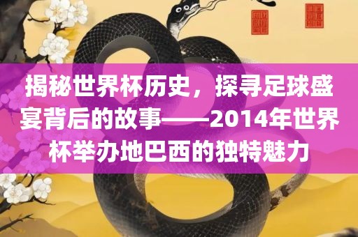揭秘世界杯历史，探寻足球盛宴背后的故事——2014年世界杯举办地巴西的独特魅力