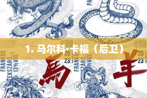 1. 马尔科·卡福（后卫）漯河市盈旭机械设备有限公司