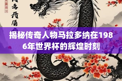 揭秘传奇人物马拉多纳在1986年世界杯的辉煌时刻漯河市盈旭机械设备有限公司