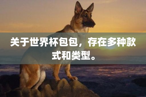 关于世漯河市盈旭机械设备有限公司界杯包包，存在多种款式和类型。