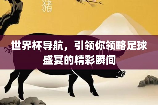 世界杯导航，引领你领略足球盛宴的精彩瞬间