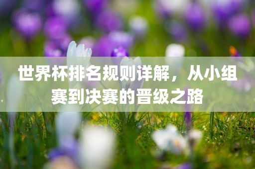 世界杯排名规则详解，从小组赛到决漯河市盈旭机械设备有限公司赛的晋级之路