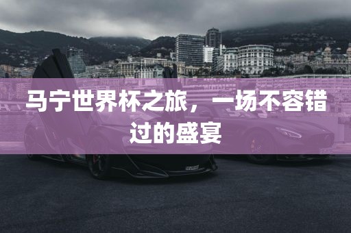 马宁世界杯之旅，一场不容错过的盛宴