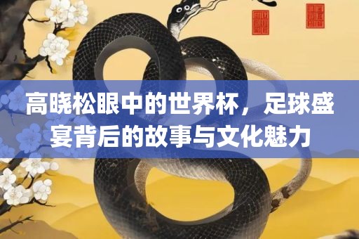 高晓松眼中的世界杯，足球盛宴背后的故事与文化魅力