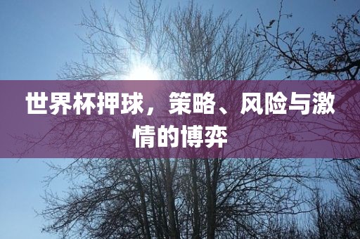 世界杯押球，策略、风险与激情的博弈