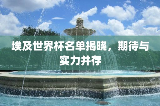 埃及世界杯名单揭晓，期待与实力并存
