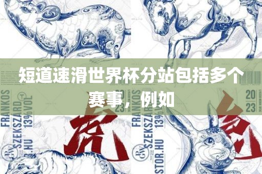 短道速滑世界杯分站包括多个赛事，例如