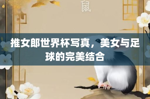 推女郎世界杯写真，美女与足球的完美结合