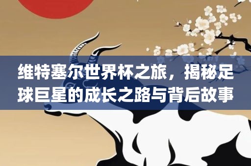维特塞尔世界杯之旅，揭秘足球巨星的成长之路与背后故事漯河市盈旭机械设备有限公司