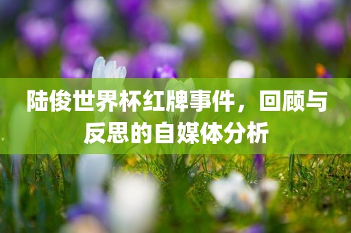 陆俊世界杯红牌事件，回顾与反思的自媒体分析