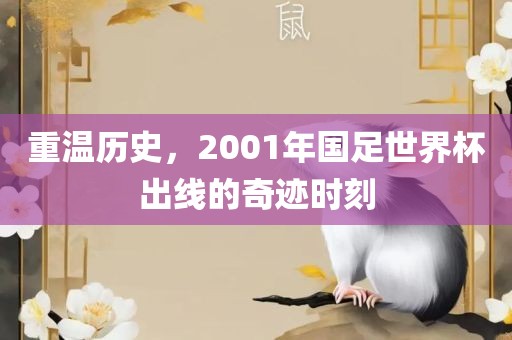 重温历史，2001年国足世界杯出线的奇迹时刻