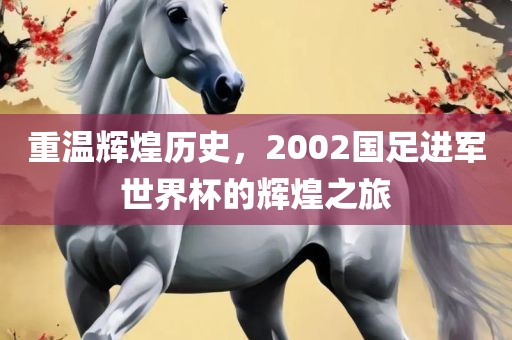 重温辉煌历史，2002国足进军世界杯的辉煌之旅