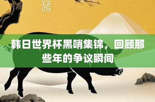 韩日世界杯黑哨集锦，回顾那些年的争议瞬间