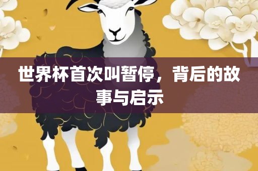 世界杯首次叫暂停，背后的故事与启示漯河市盈旭机械设备有限公司