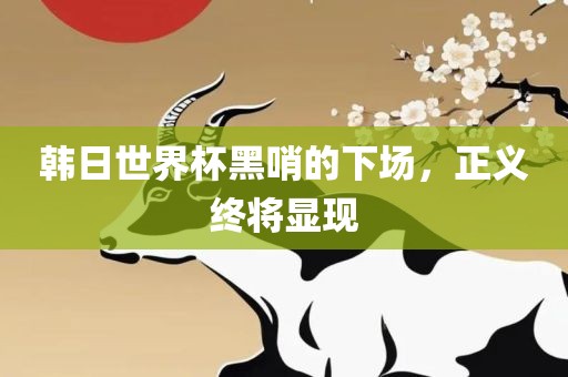 韩日世界杯黑哨的下场，正义终将显现