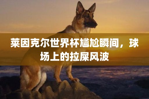 莱因克尔世界杯尴尬瞬间，球场上的拉屎风波