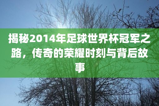 揭秘2014年足球世界杯冠军之路，传奇的荣耀时刻与背后故事