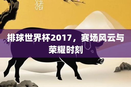 排球世界杯2017，赛场风云与荣耀时刻