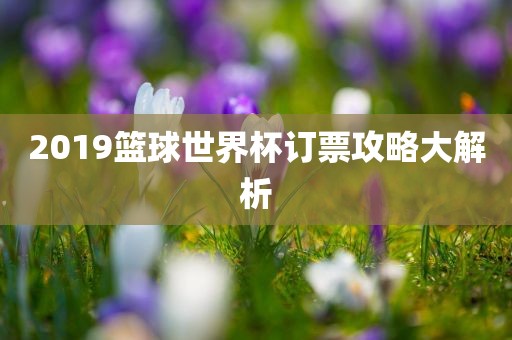2019篮球世界杯订票攻略大解析